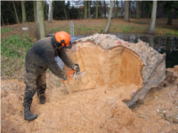 Kácení stromů a práce s křovinořezem